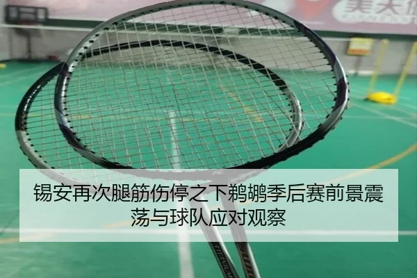 锡安再次腿筋伤停之下鹈鹕季后赛前景震荡与球队应对观察