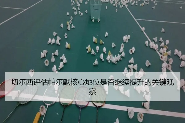 切尔西评估帕尔默核心地位是否继续提升的关键观察